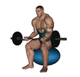 EZ Bar Curl - Fitness Ball